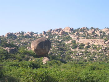 Scenic view of field against clear sky