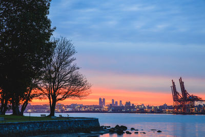Silhouette trees by buildings against sky during sunset