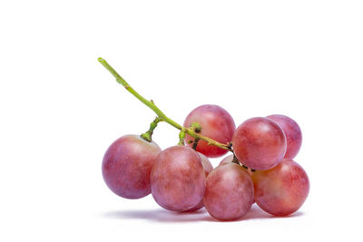 Close-up of grapes against white background