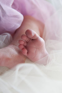 Close-up of baby feet