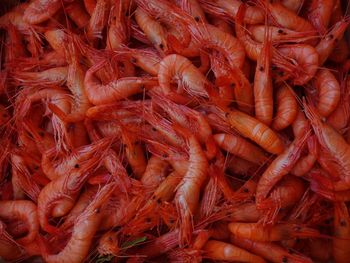 Full frame shot of prawns for sale at market