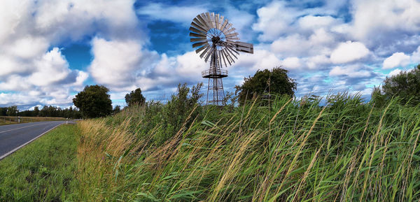 Panoramic view of trees on field against sky