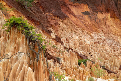 Red sandstone formations and needles  in tsingy rouge park in madagascar, africa