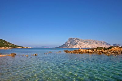 Scenic view of sea against clear blue sky