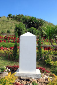 Scenic view of flowering plants against clear blue sky