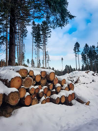 Stack of logs on snow covered landscape
