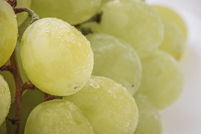 Close-up of fruits in water