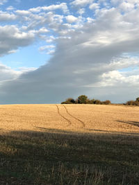 Scenic view of field against sky