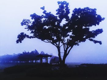 Silhouette tree on beach against sky at dusk