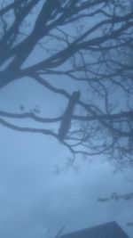 Low angle view of silhouette tree against sky