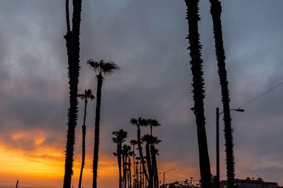 Low angle view of silhouette palm trees against sky during sunset