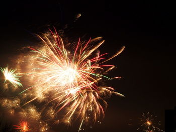 Low angle view of firework display against sky at night