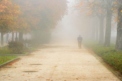 Rear view of senior man walking on footpath in park