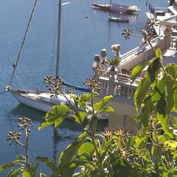 Sailboats in sea against sky