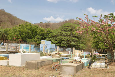 cemetery
