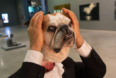 dog