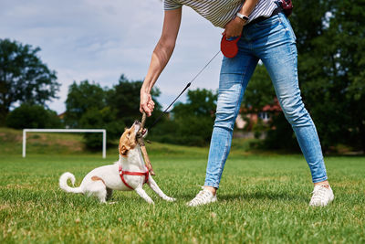 Owner walking dog at green field