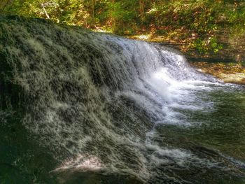 Close-up of waterfall along trees