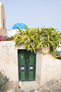 Potted plants outside building against sky