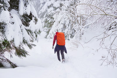 Rear view of person on snow covered land