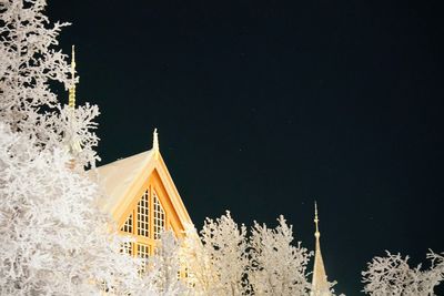 Close-up of snow covered trees at night