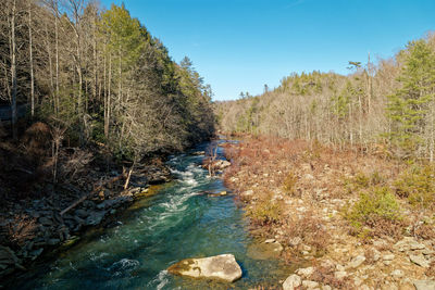 wilderness