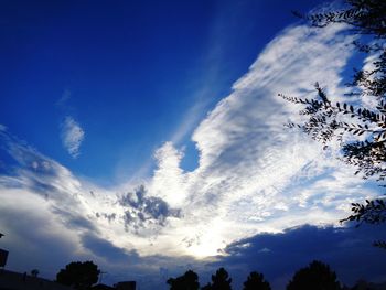 Low angle view of silhouette trees against sky