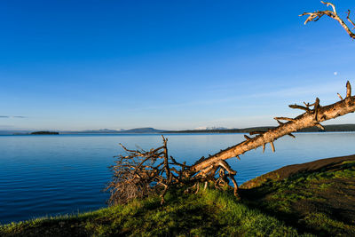 Scenic view of sea against blue sky