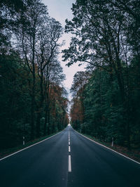 Empty road amidst trees in forest