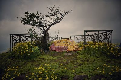 Flower tree against sky