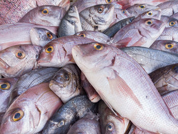 Full frame shot of fish for sale in market