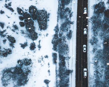 High angle view of snow covered trees