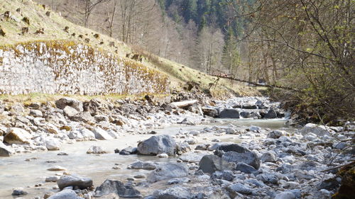 Surface level of stream flowing through rocks in forest