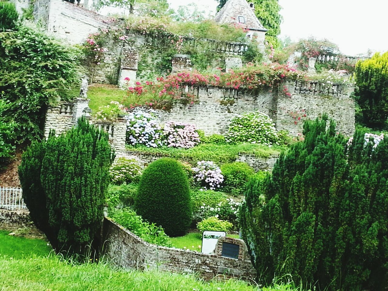 VIEW OF GARDEN