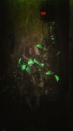 Illuminated lights at night