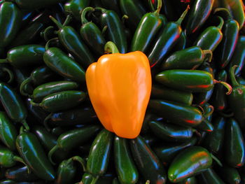 Bell pepper surrounded by jalapeño pepper