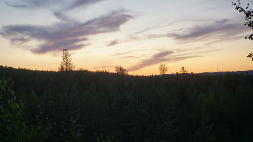 Plants growing on land against sky during sunset