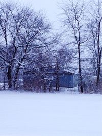 Bare trees on snow covered landscape