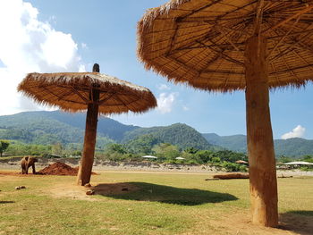 thatched roof