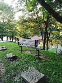 Trees in park