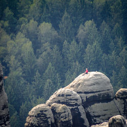 Man standing on rock in forest