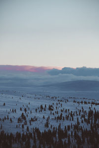 Scenic view of snowy land against clear sky