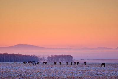 People at beach against sky during sunset