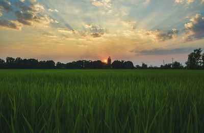 Scenic view of field against sky at sunset