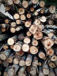 Full frame shot of logs in forest