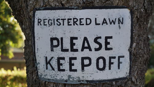 Close-up of text on tree trunk