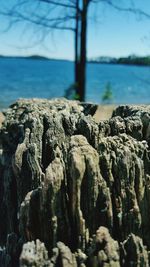 Close-up of rock formation in sea