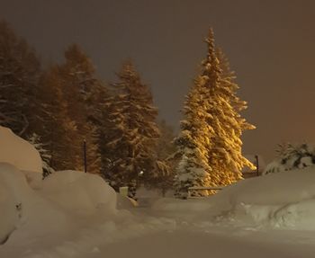 Snow covered land and trees against sky