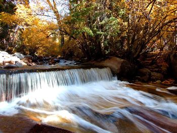 Scenic view of waterfall in forest during autumn