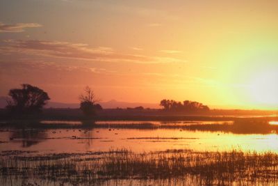 Scenic shot of calm countryside lake at sunset